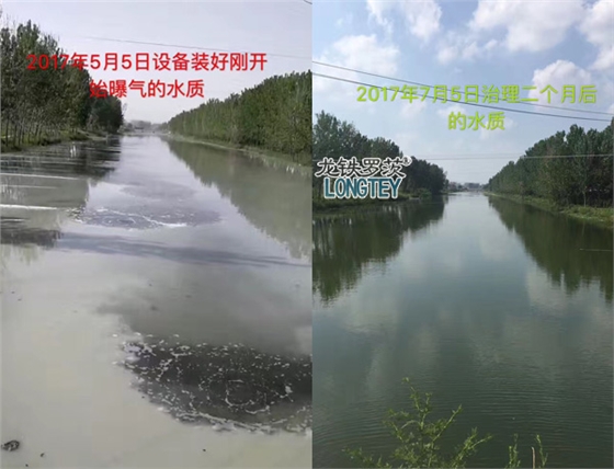 沉水風(fēng)機(jī)治理前后對(duì)比圖