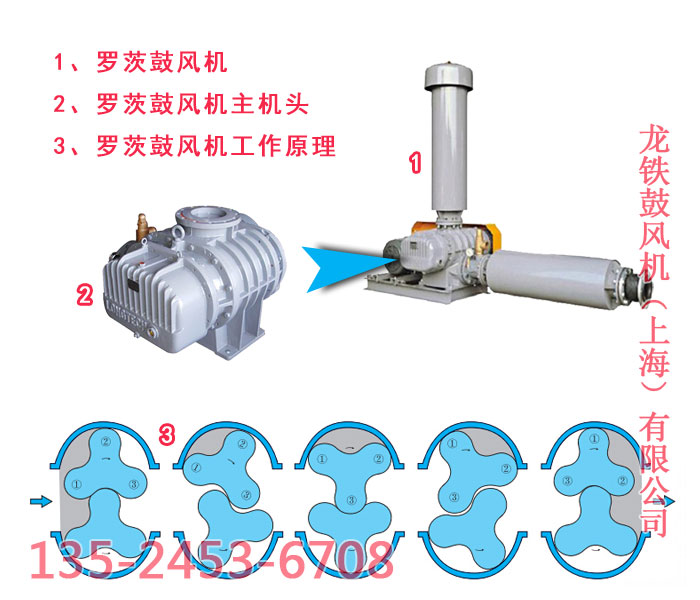 羅茨鼓風(fēng)機(jī)品牌