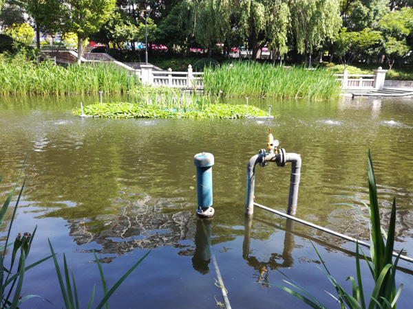 沉水風(fēng)機(jī)曝氣增氧