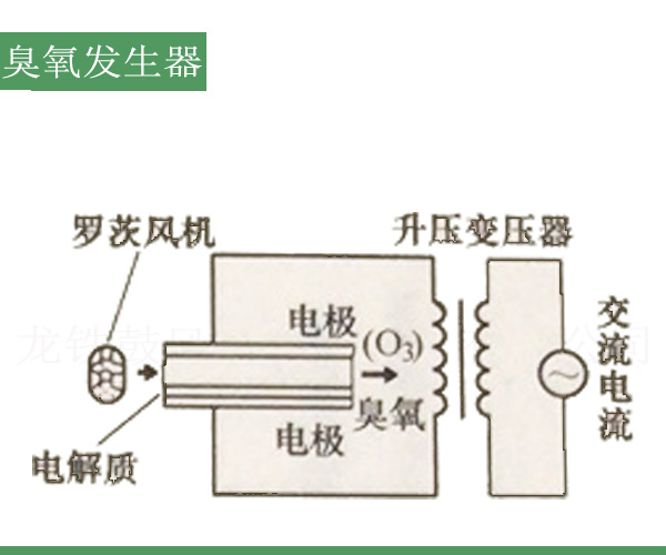 臭氧發(fā)生器羅茨風(fēng)機(jī).jpg