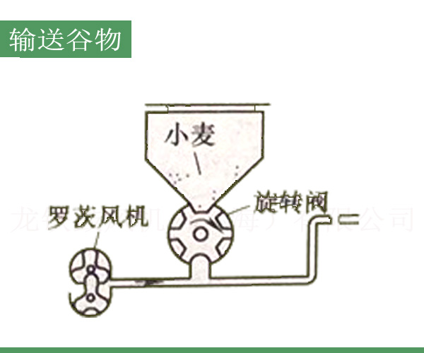 輸送谷物羅茨鼓風(fēng)機(jī).jpg