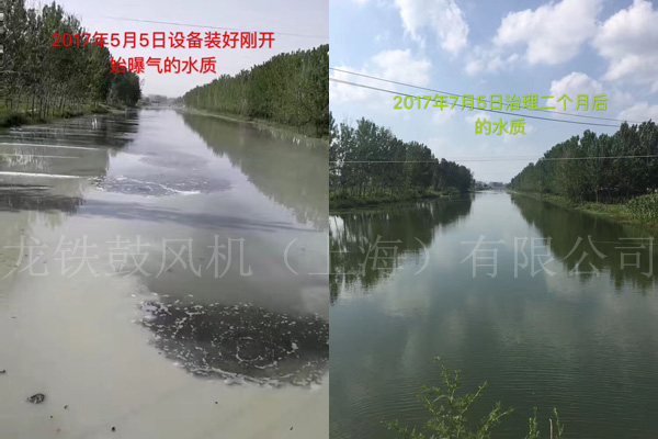 廈門沉水風(fēng)機(jī)水印.jpg