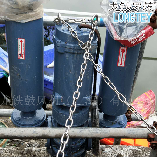 沉水式三葉魯氏鼓風(fēng)機(jī).jpg