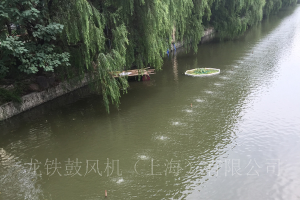 景觀水處理河道.jpg