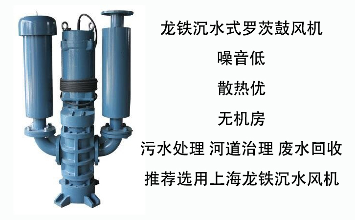 曝氣池好氧池推薦安裝沉水式羅茨鼓風(fēng)機(jī)