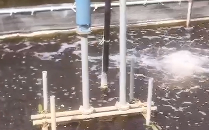 沉水風機